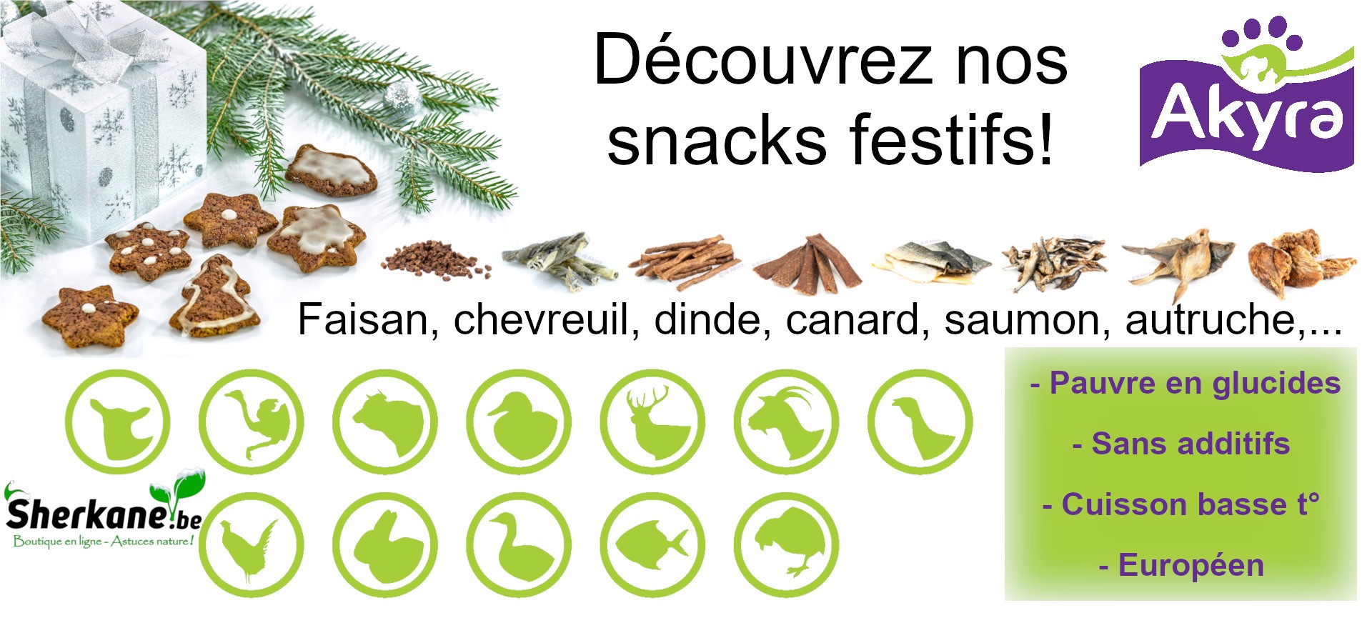 Snacks Akyra de Noël